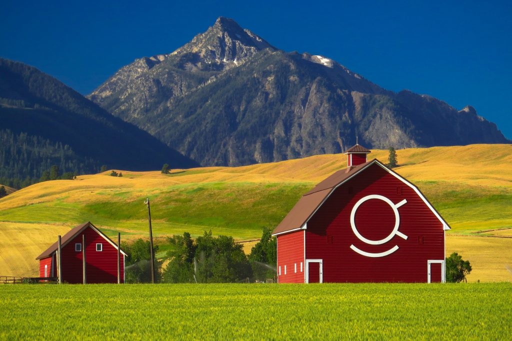 5 reasons to start business in rural
