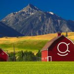 5 reasons to start business in rural