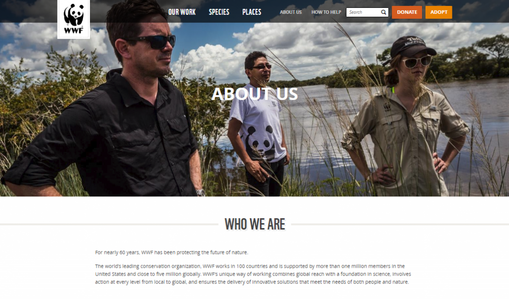 aboutus page information ideaaboutus page information idea