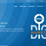 Opace Web design Seo Agency