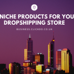 niche products for drop shipping store