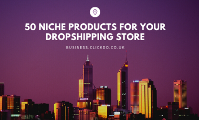 niche products for drop shipping store