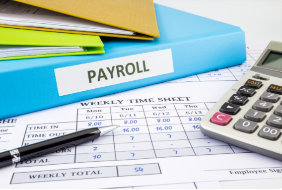 payroll managing software