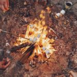 Camping Food safety tips