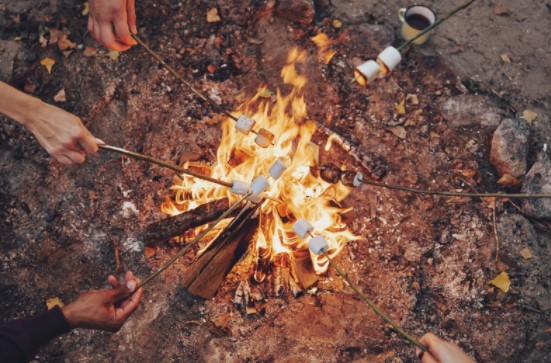 Camping Food safety tipsCamping Food safety tips