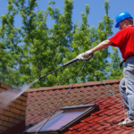 Ways to Remove Moss form Roof