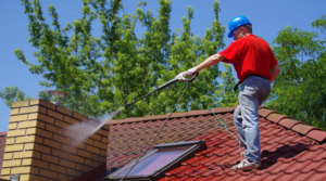 Ways to Remove Moss form Roof