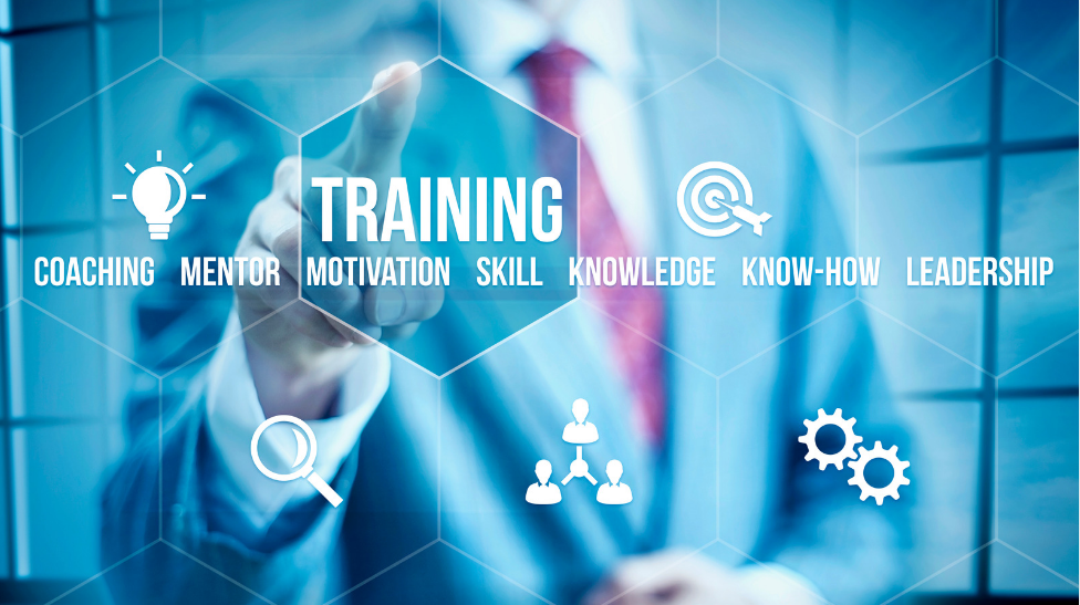 How important is Training for New Business Owners