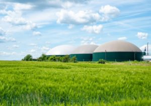 Creation of biogas