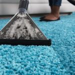 Introduction to carpet cleaning