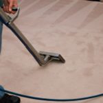 Save Money on Carpet Cleaning – The Easy Way