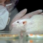 Studying Machine Learning – Animal Testing May Become Unnecessary