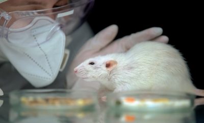 Studying Machine Learning - Animal Testing May Become Unnecessary
