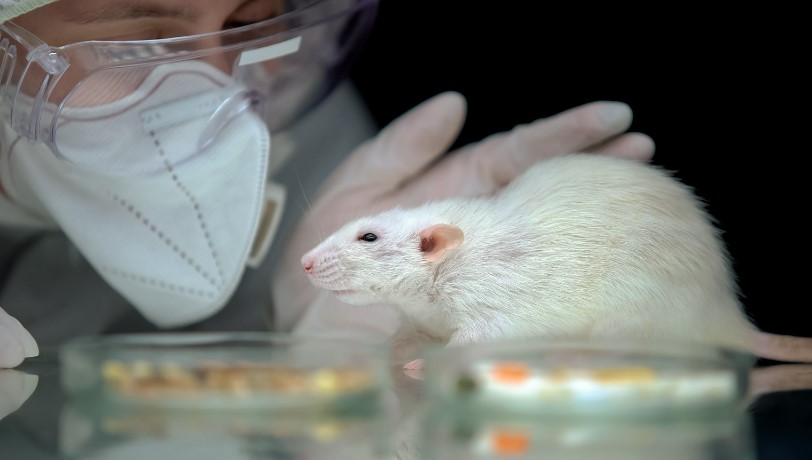 Studying Machine Learning – Animal Testing May Become Unnecessary