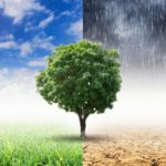 The Role of Marketing in Climate Change