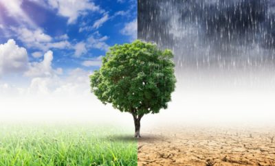 The Role of Marketing in Climate Change