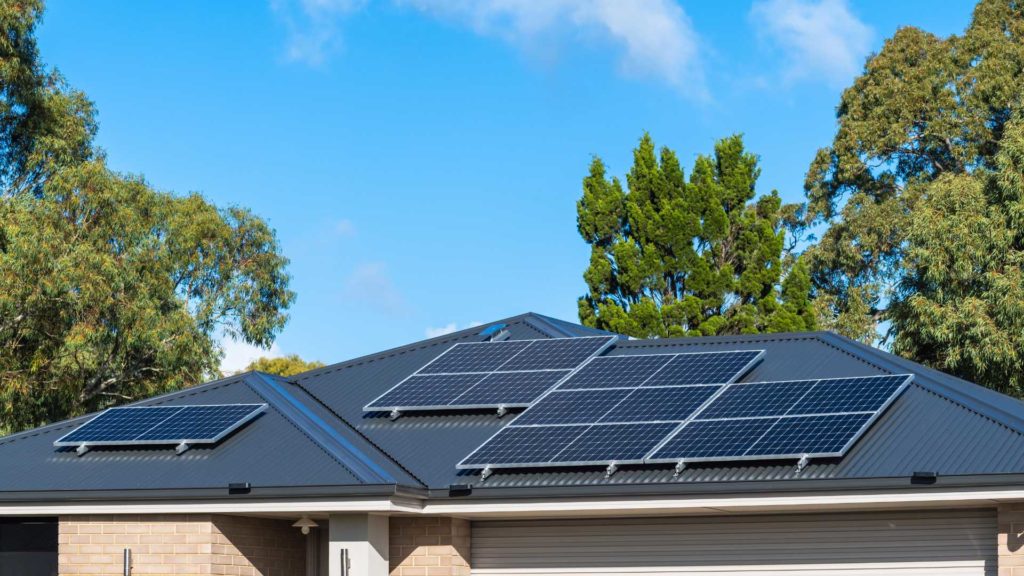 Why Bird Proofing Your Solar Panels is Important