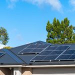 Why Bird Proofing Your Solar Panels is Important