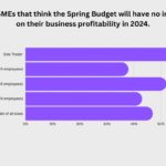 sme think that spring budget will have n impact on business profitability in 2024