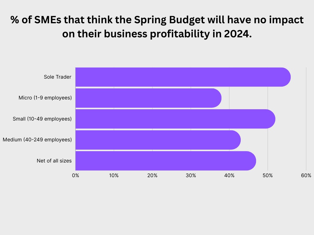 sme-think-that-spring-budget-will-have-n-impact-on-business-profitability-in-2024