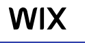 wix-top-no-code-development-tool