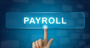 Payroll Software for UK Businesses