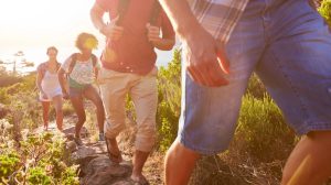 The Science of Striding