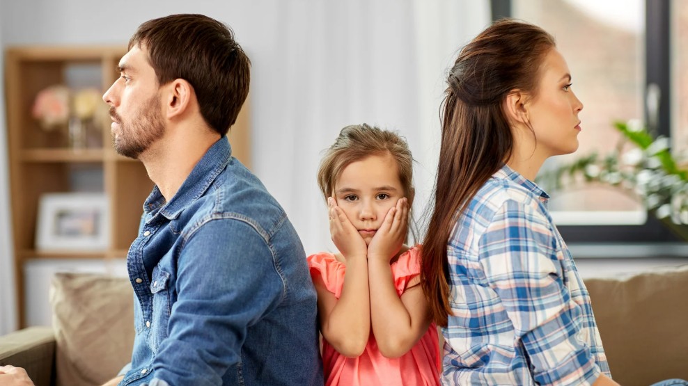 leicester family dynamics change